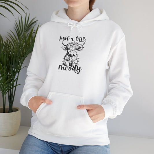 Express Your Unique Mood with the Fun and Comfortable 'Just a Little Moody' Hoodie